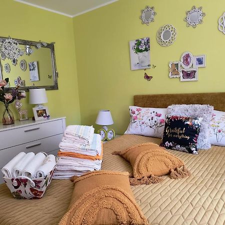 Sweet Butterflies Residence Braşov Extérieur photo