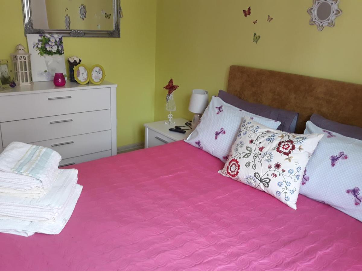 Sweet Butterflies Residence Braşov Extérieur photo