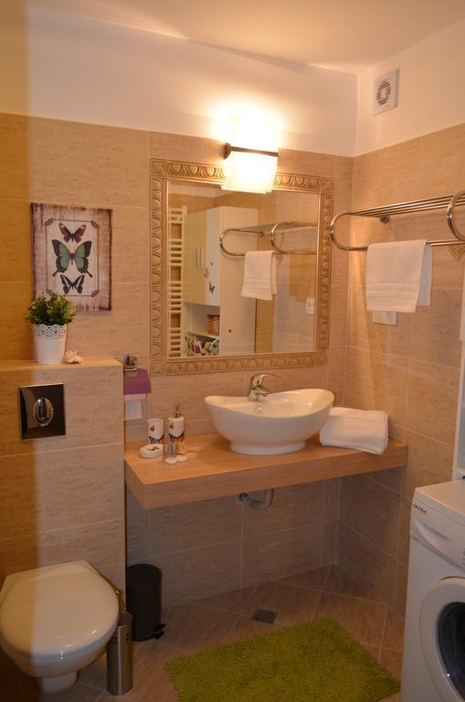 Sweet Butterflies Residence Braşov Extérieur photo