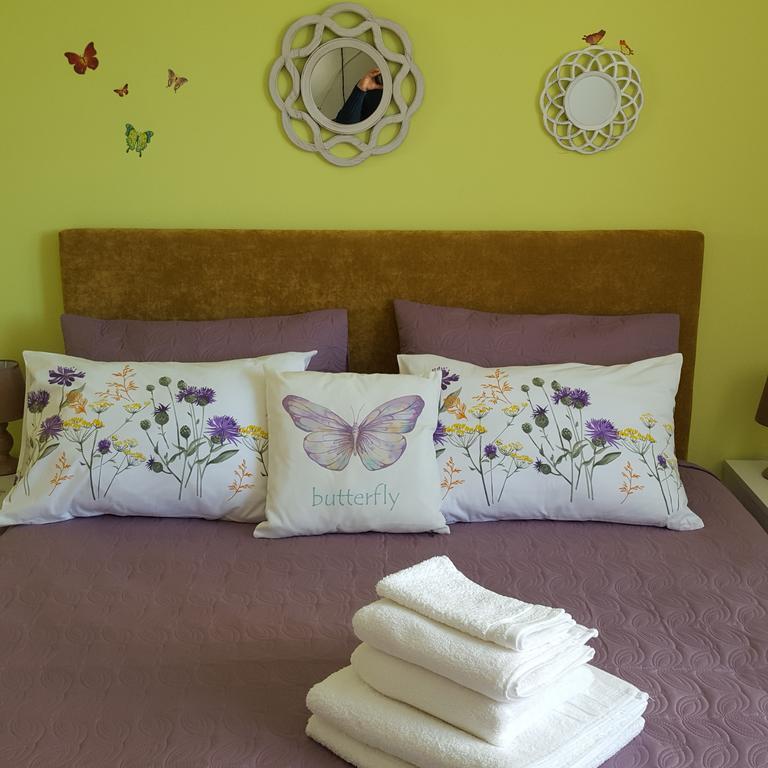 Sweet Butterflies Residence Braşov Extérieur photo