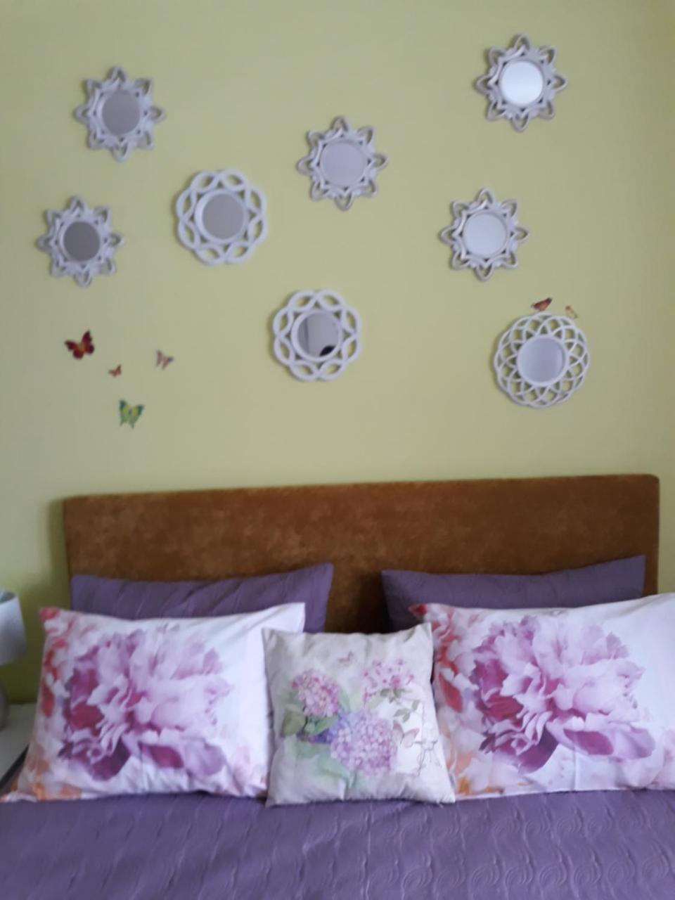 Sweet Butterflies Residence Braşov Extérieur photo
